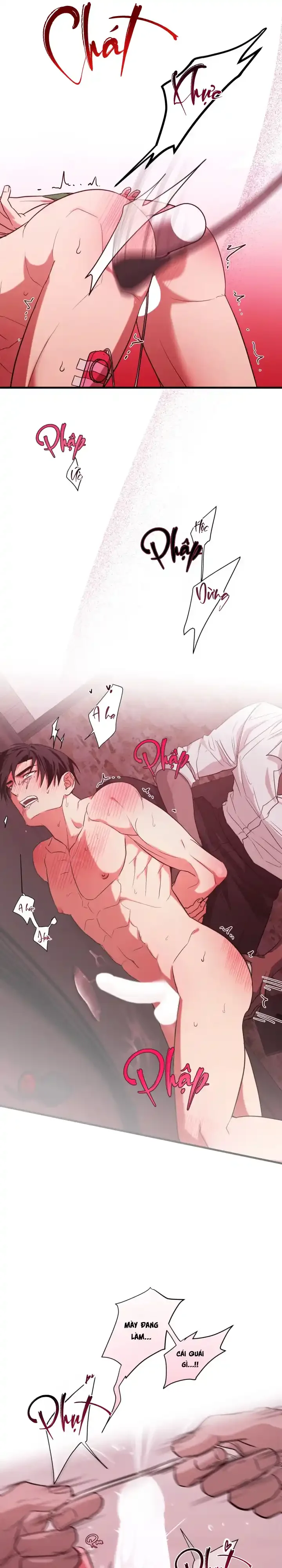 Người cố vấn hoàn mỹ Chapter 4 Trang 13