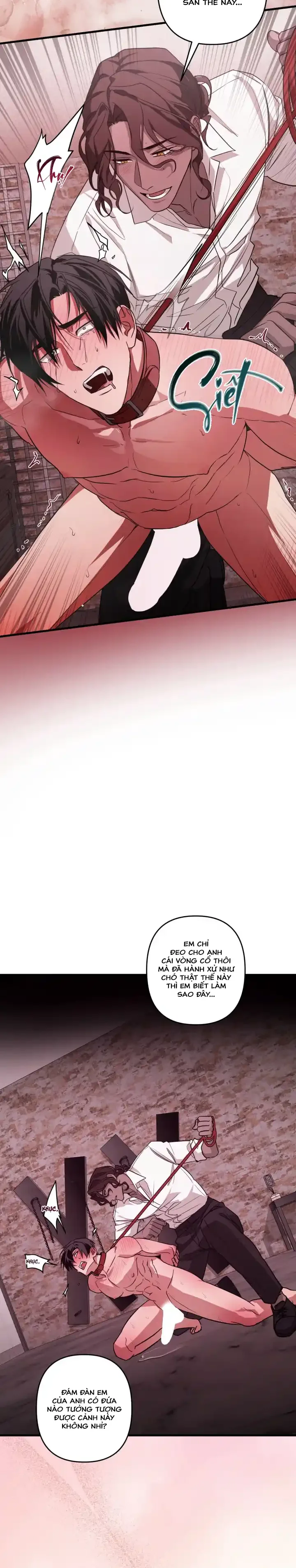 Người cố vấn hoàn mỹ Chapter 4 Trang 18