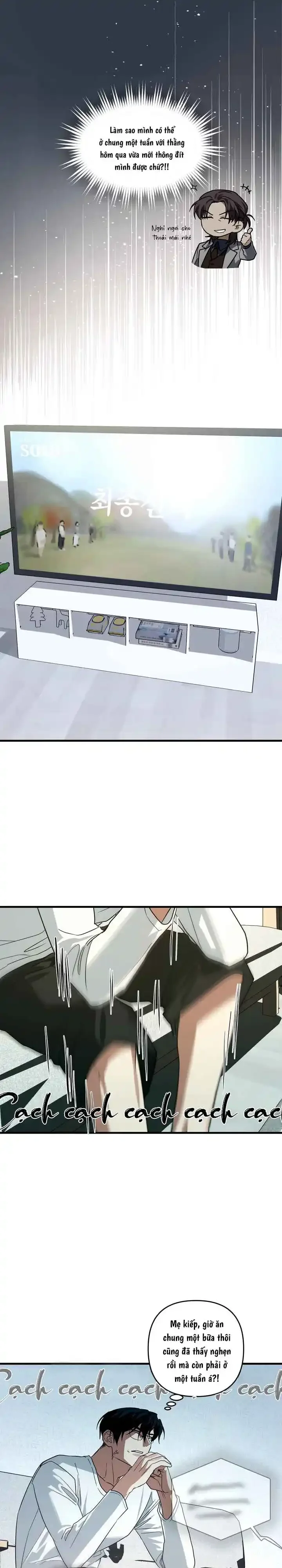 Người cố vấn hoàn mỹ Chapter 7 Trang 17