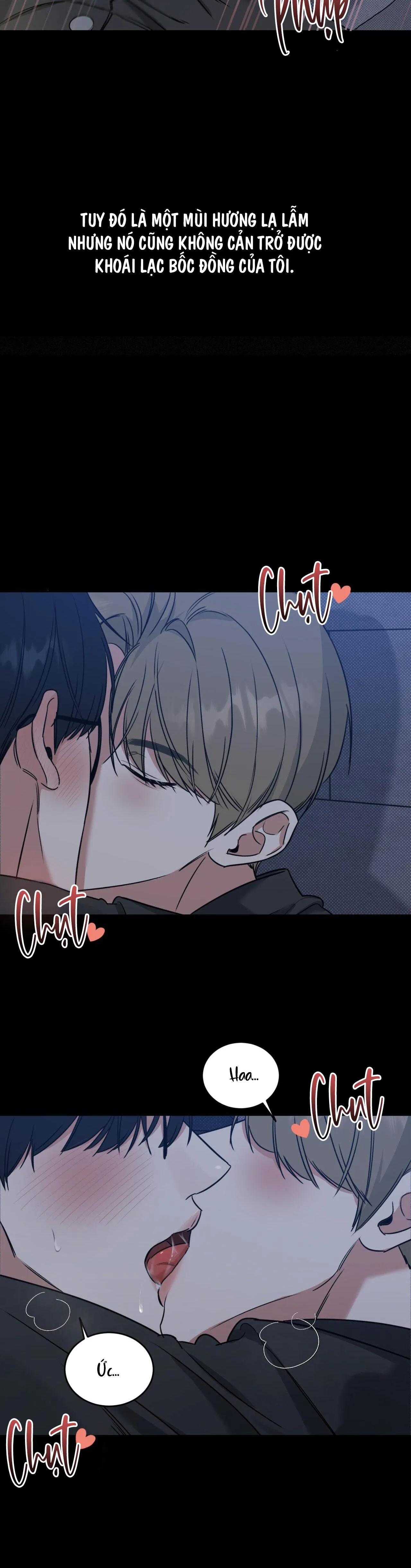 NGƯỜI ĐÀN ÔNG CHO EM TẤT CẢ Chapter 1 Trang 6