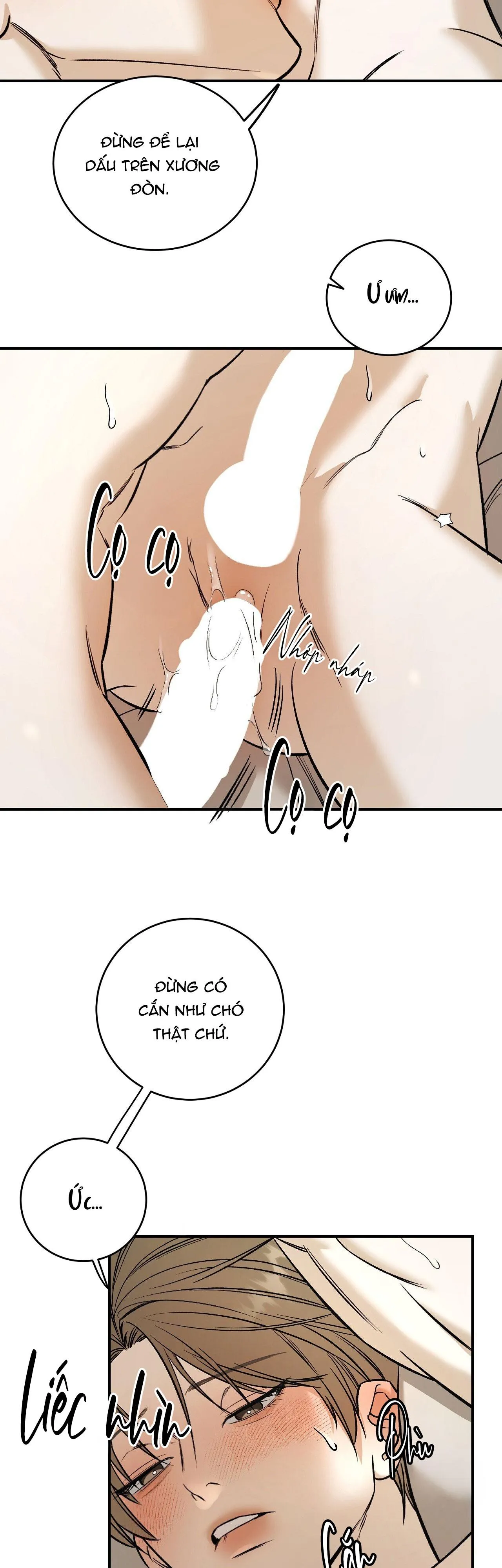 NGƯỜI ĐÀN ÔNG CHO EM TẤT CẢ Chapter 33 Trang 17