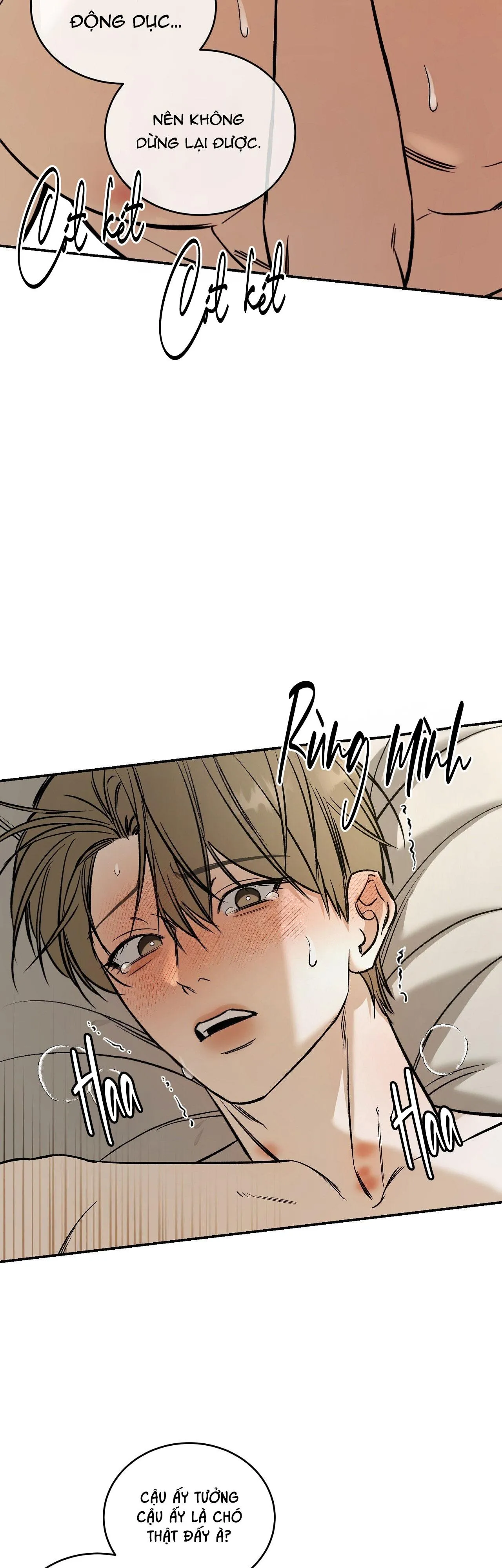 NGƯỜI ĐÀN ÔNG CHO EM TẤT CẢ Chapter 33 Trang 27