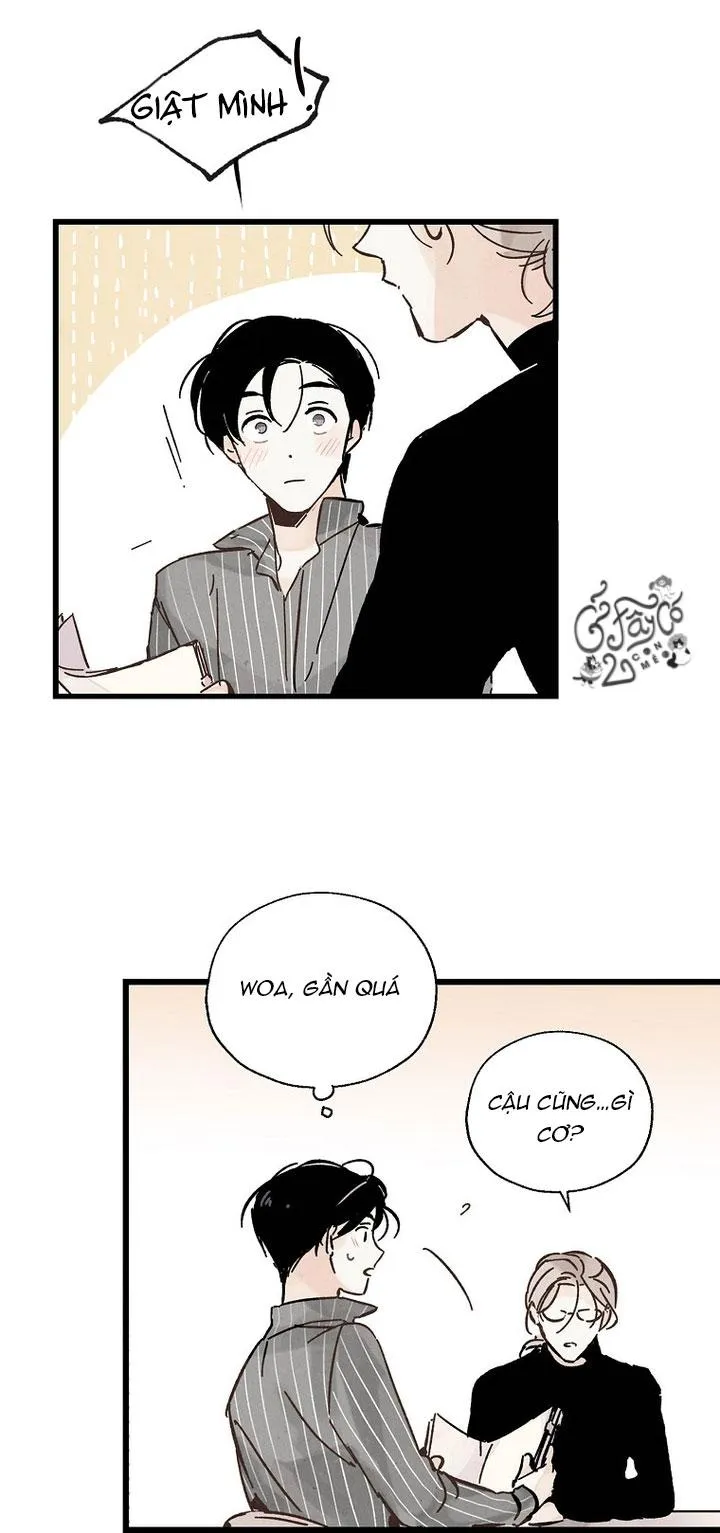 Người Đàn Ông Không Thể Nếm Thử Chapter 6 Trang 26