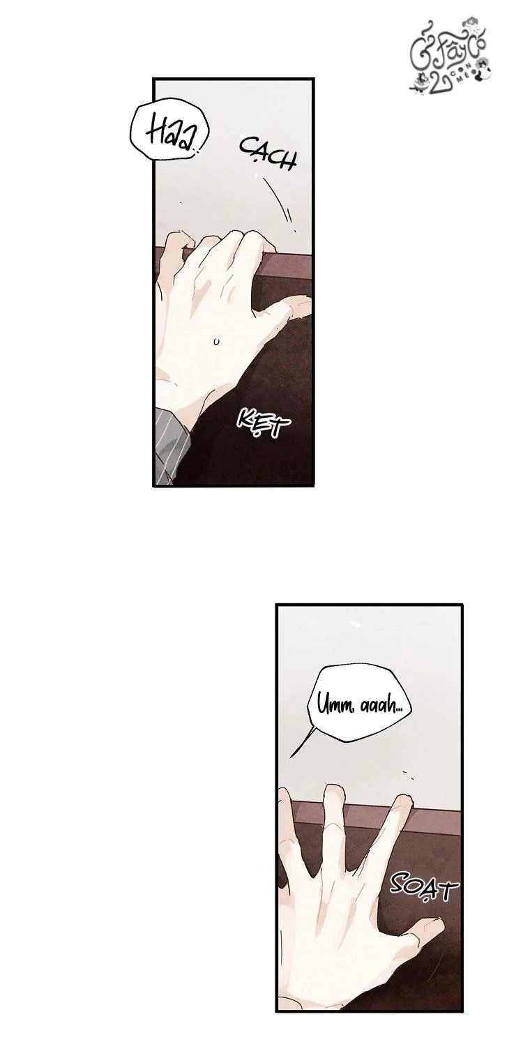 Người Đàn Ông Không Thể Nếm Thử Chapter 7 Trang 10