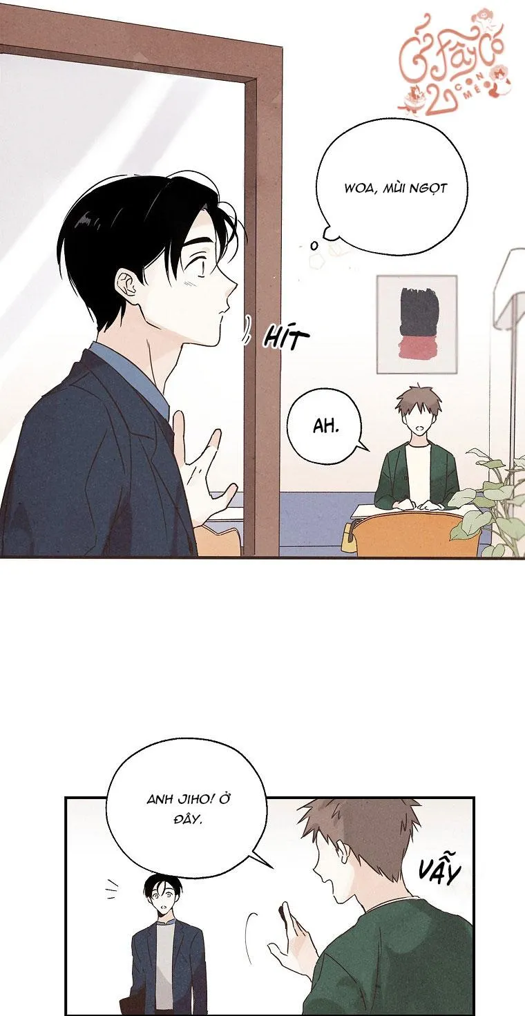 Người Đàn Ông Không Thể Nếm Thử Chapter 8 Trang 8