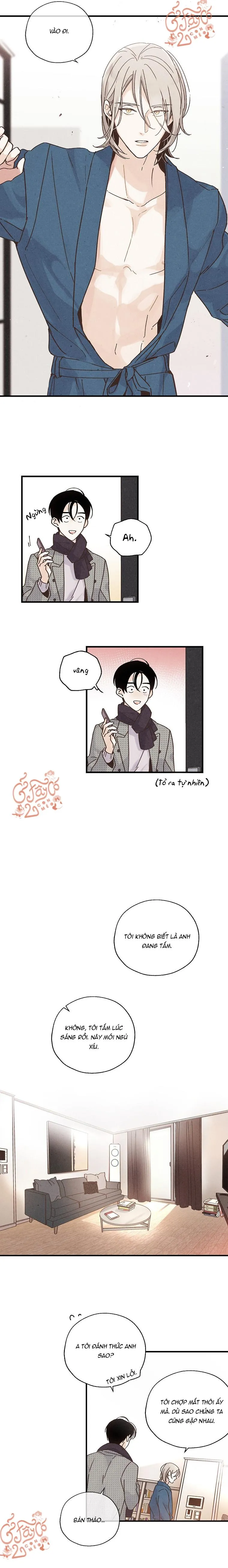 Người Đàn Ông Không Thể Nếm Thử Chapter 13 Trang 5