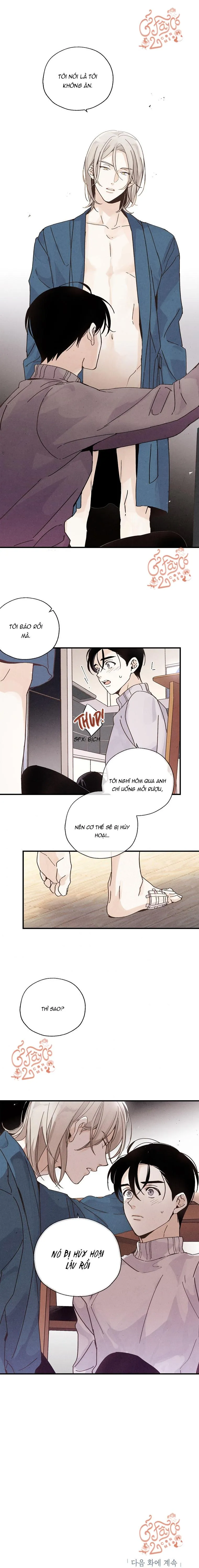 Người Đàn Ông Không Thể Nếm Thử Chapter 13 Trang 11