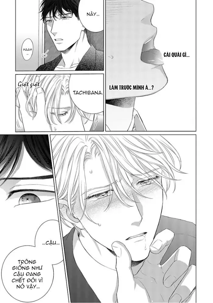 Người đàn ông phá vỡ thế giới của tôi Chapter 4 Trang 17