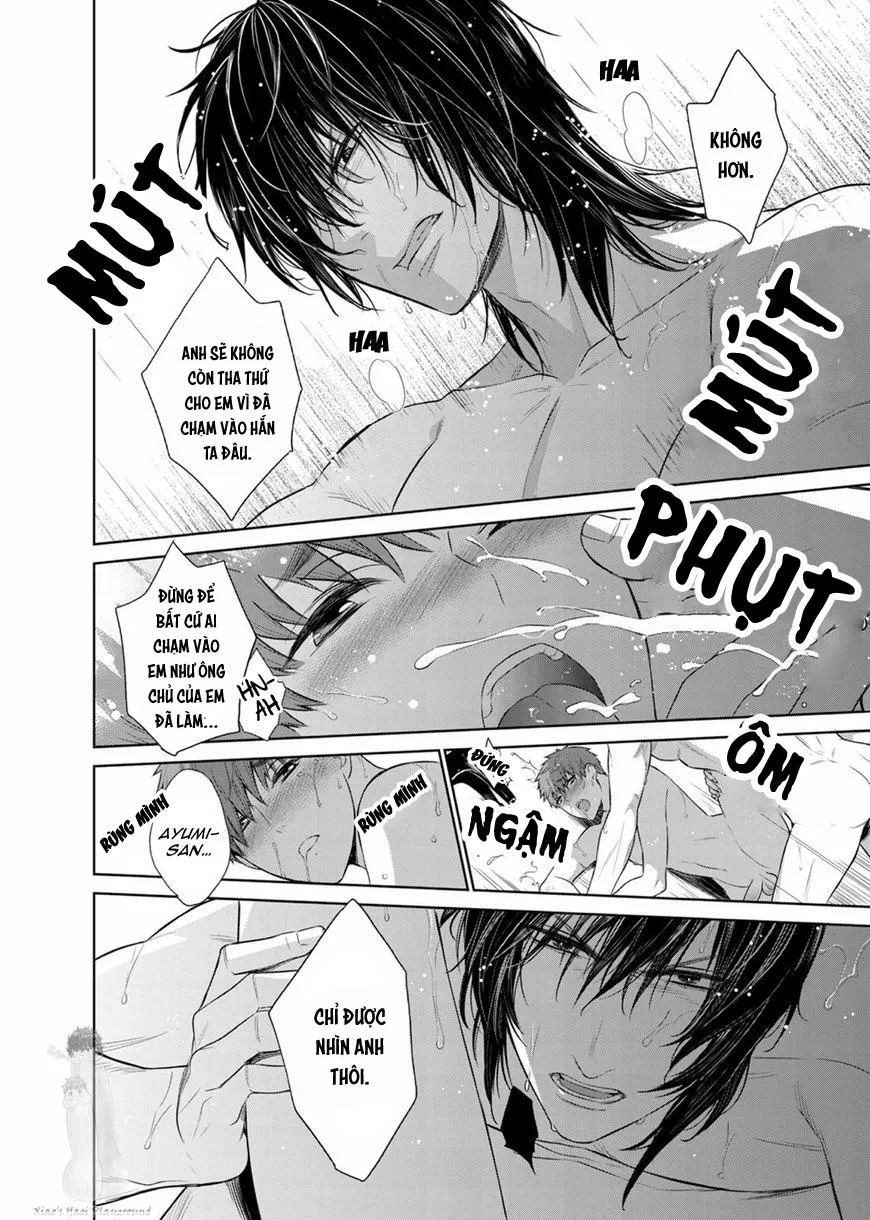 Người Đàn Ông Trăng Hoa Chapter 27 Trang 11