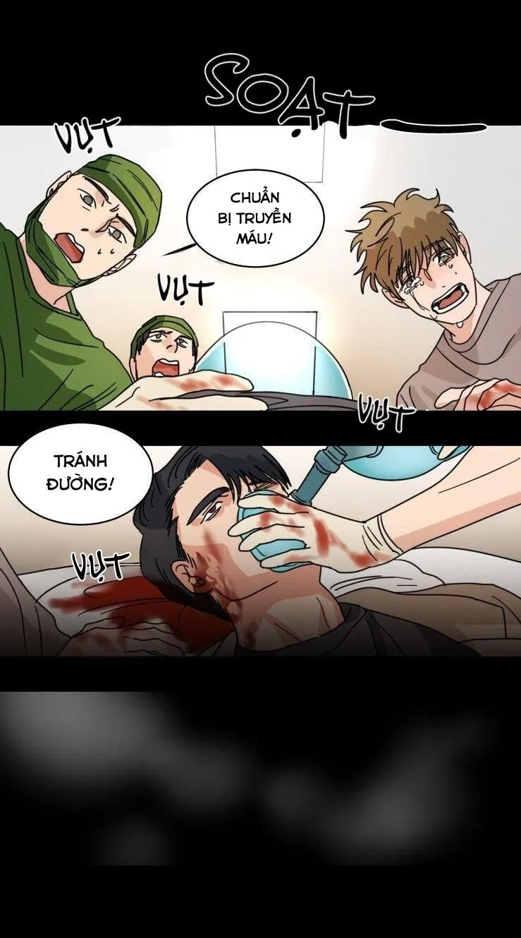 Người Giữ Ngọc Chapter 29 Trang 8