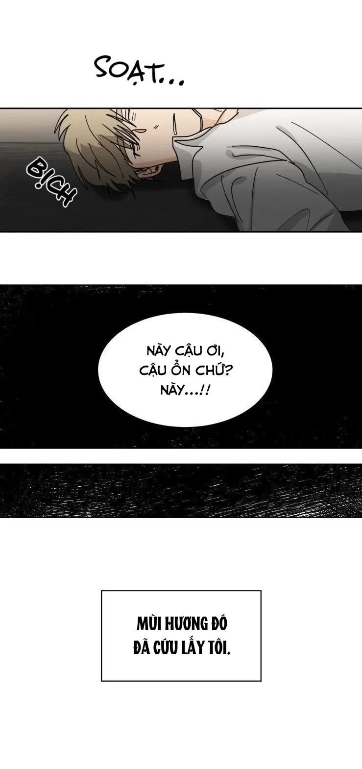 Người Giữ Ngọc Chapter 30 Trang 10