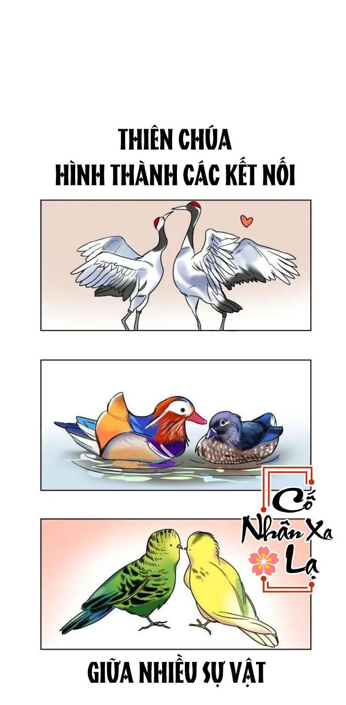 Người Giữ Ngọc Chapter 0 Trang 3