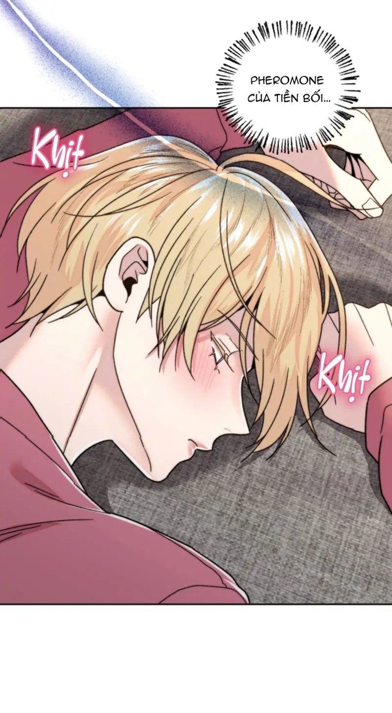 Người Hàng Xóm Bất Ngờ Chapter 17 Trang 60