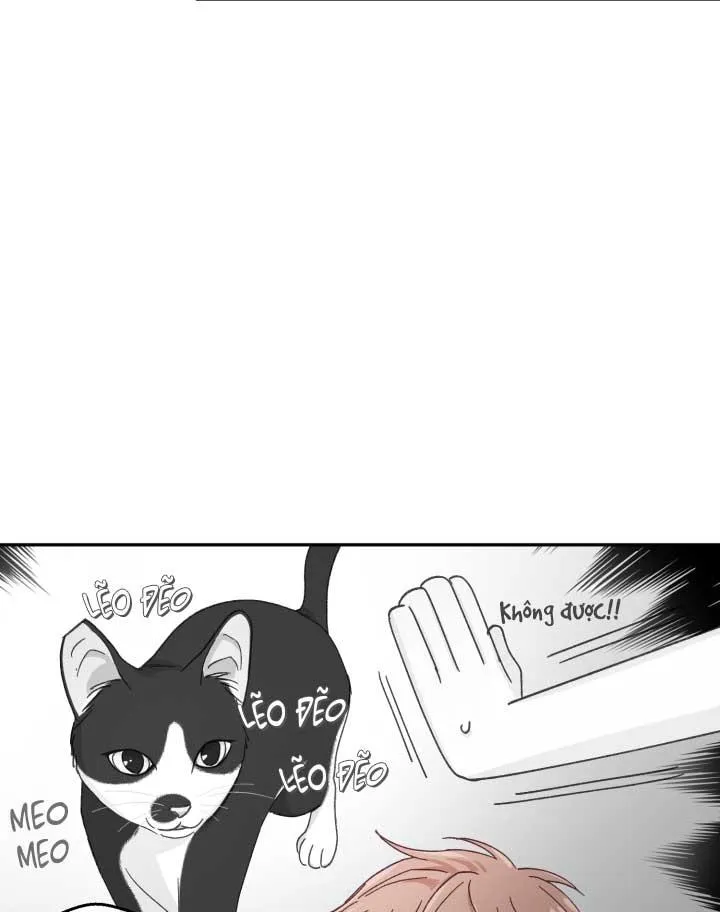 NGƯỜI HÀNG XÓM QUYẾN RŨ CỦA TÔI Chapter 3 Trang 20