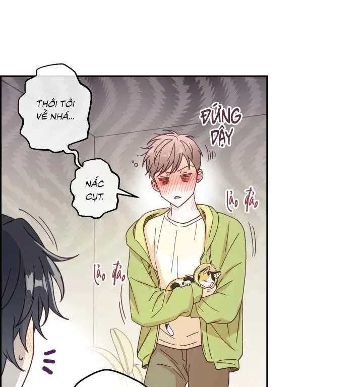 NGƯỜI HÀNG XÓM QUYẾN RŨ CỦA TÔI Chapter 3 Trang 45