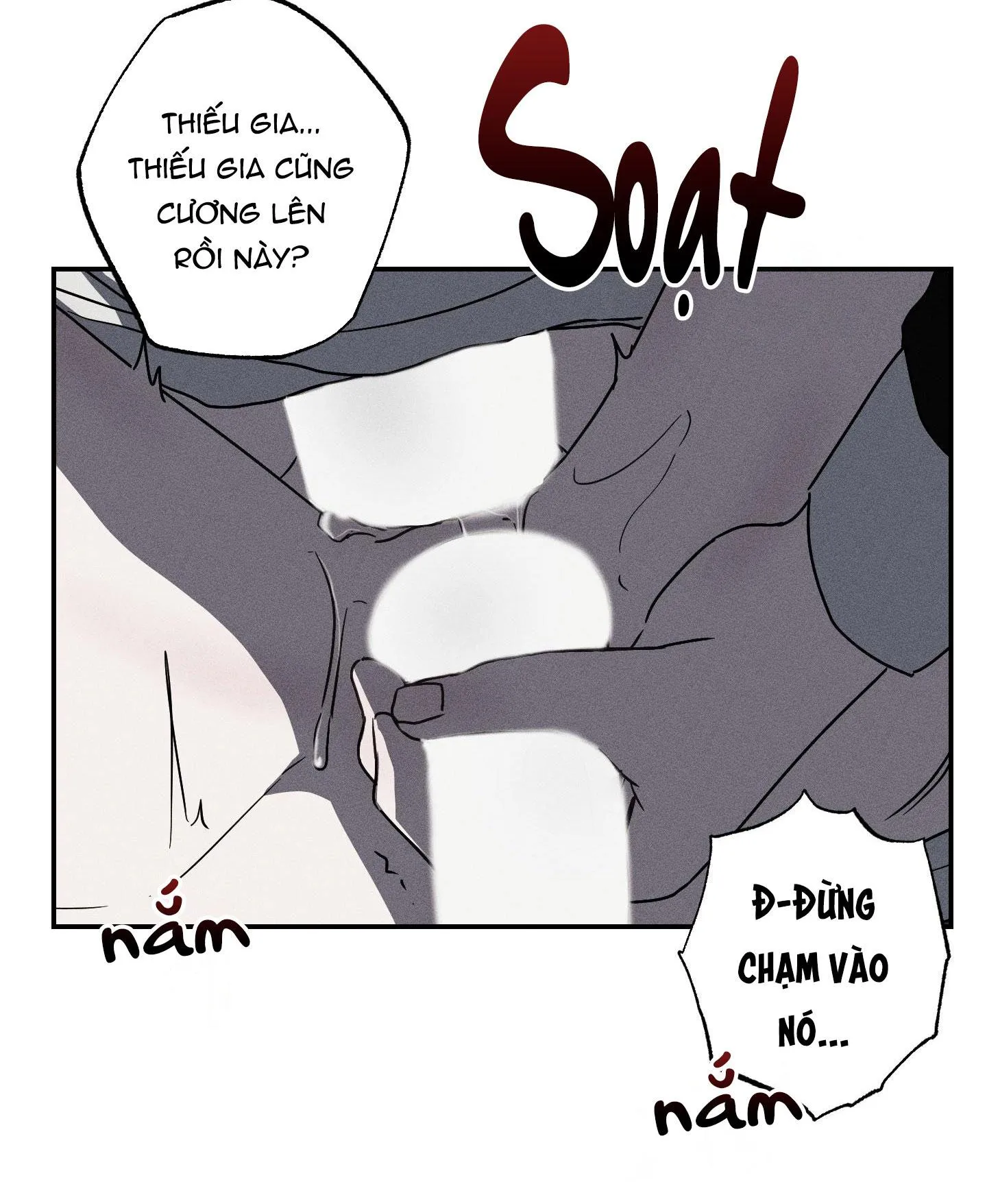 Người Hầu Của Tôi-NCCMM Chapter 3 Trang 42