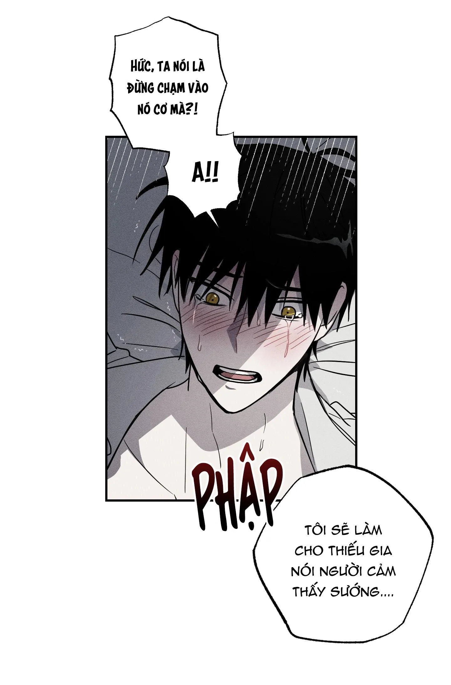Người Hầu Của Tôi-NCCMM Chapter 3 Trang 43