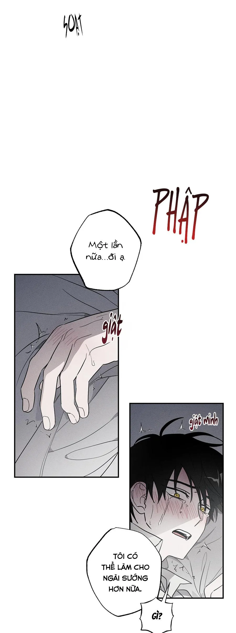 Người Hầu Của Tôi-NCCMM Chapter 4 Trang 29