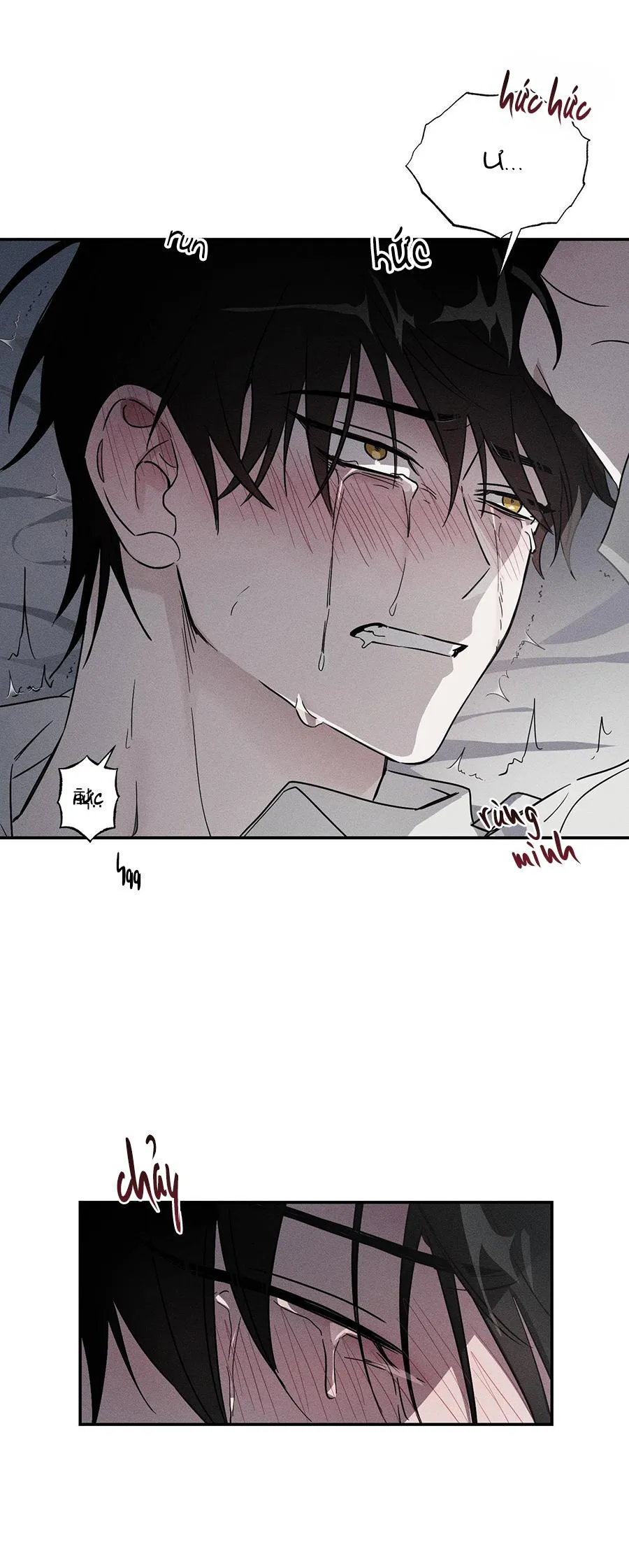 Người Hầu Của Tôi-NCCMM Chapter 4 Trang 34