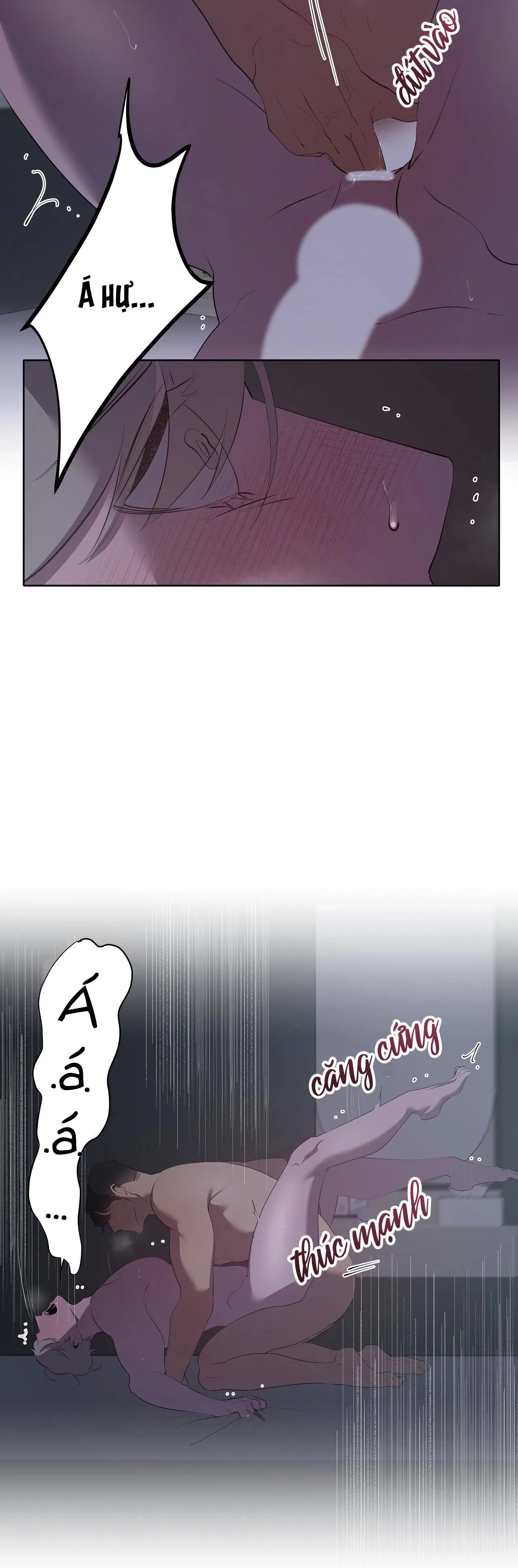 Người Nhân Viên Quyến Rũ Chapter 42 Trang 17