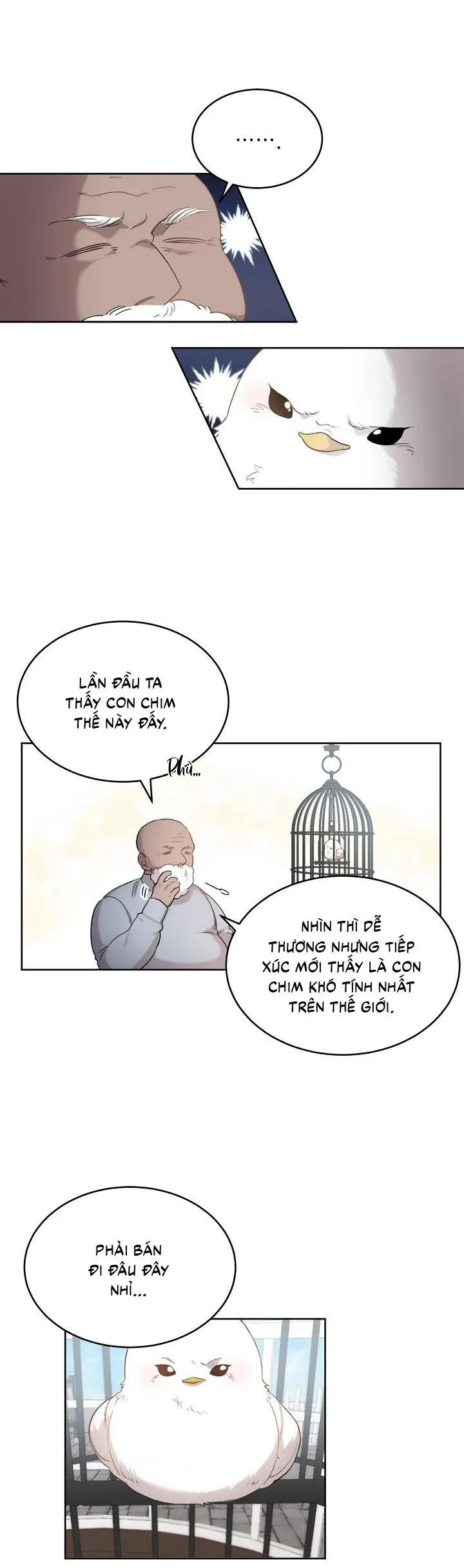 Xin Người Đừng Nhấn Chapter 2 Trang 4