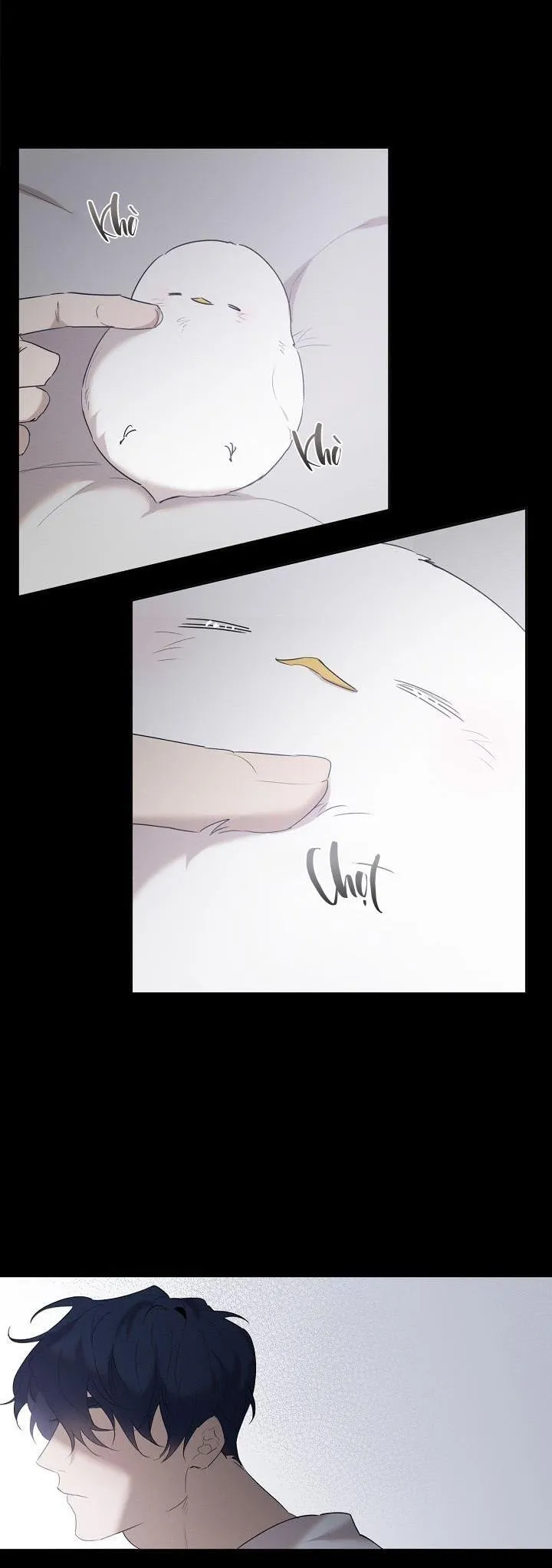 Xin Người Đừng Nhấn Chapter 12 Trang 10
