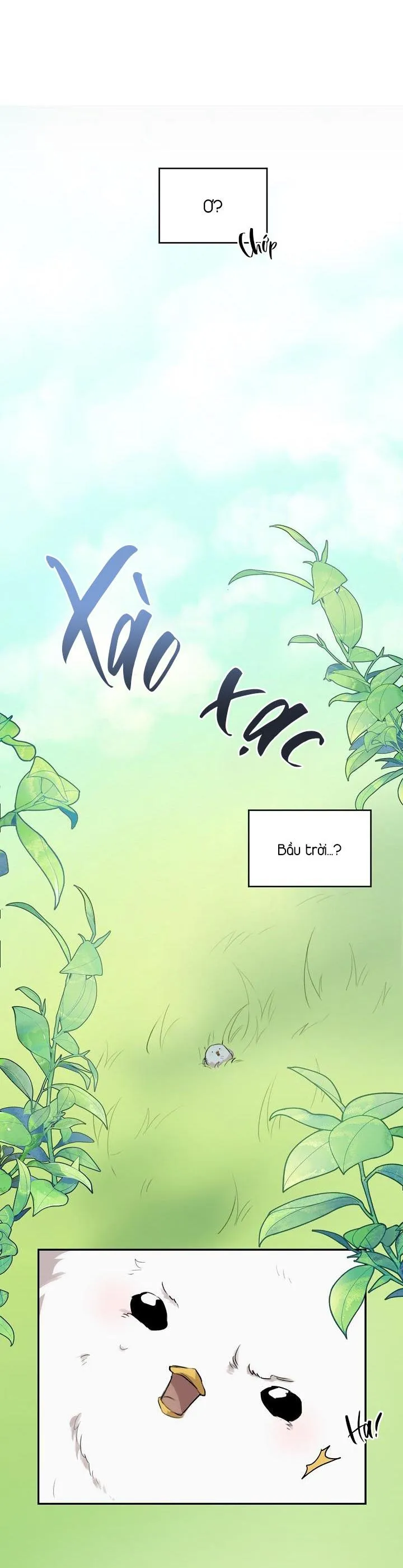 Xin Người Đừng Nhấn Chapter 1 Trang 15