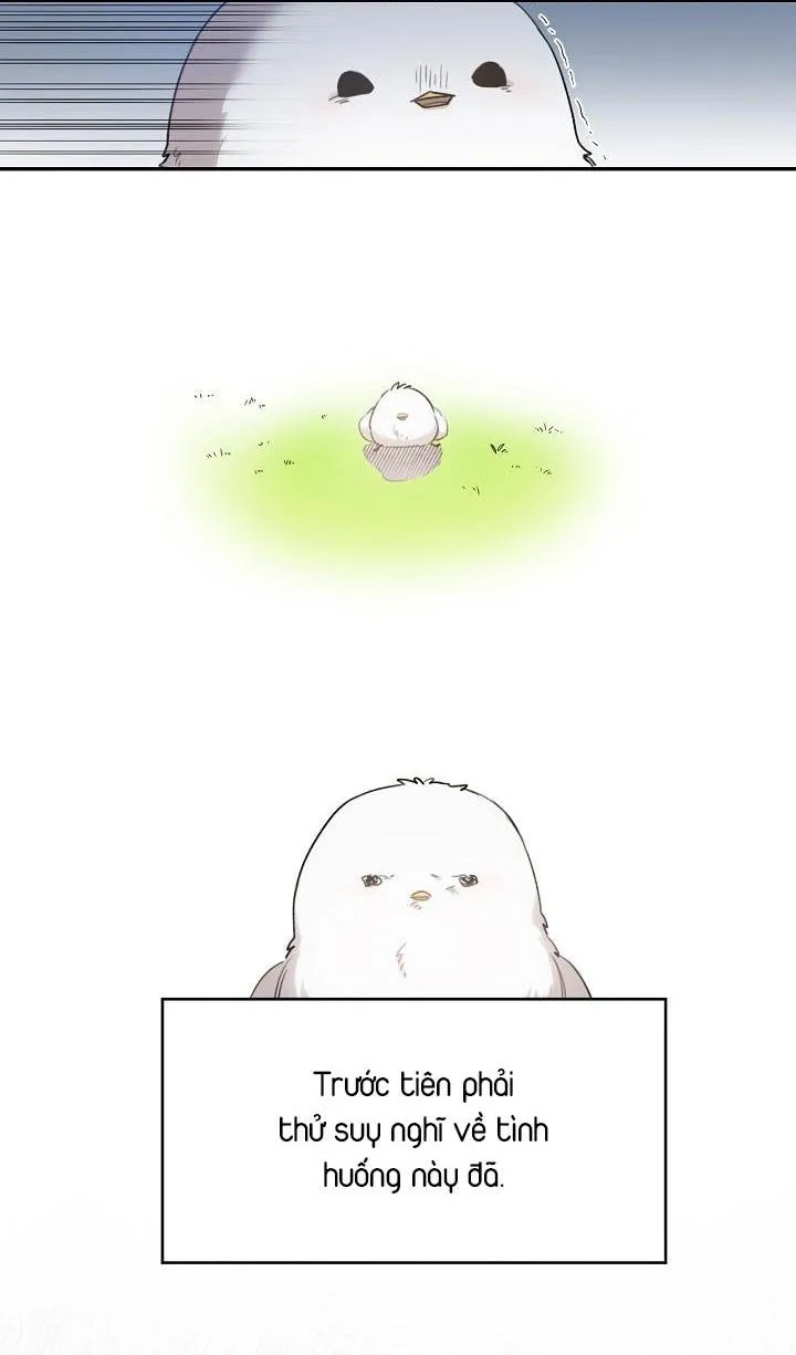 Xin Người Đừng Nhấn Chapter 1 Trang 19