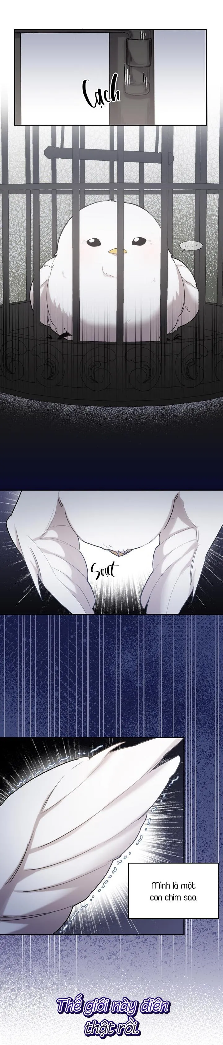 Xin Người Đừng Nhấn Chapter 1 Trang 28