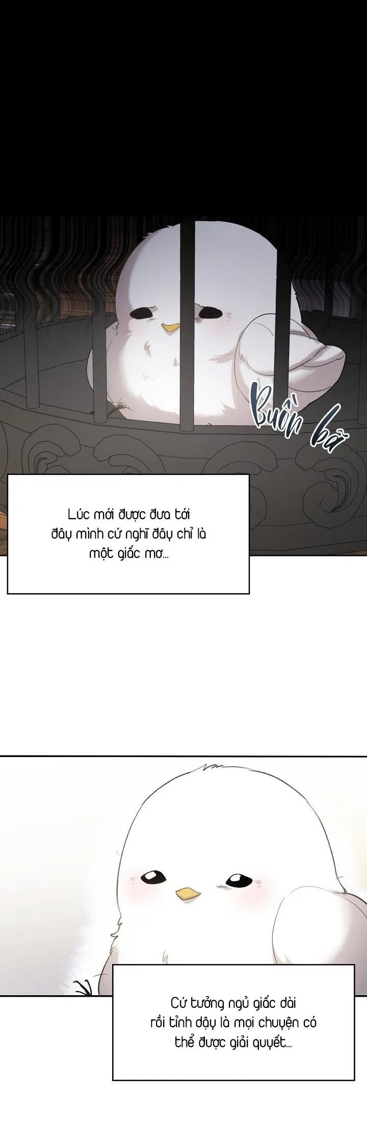 Xin Người Đừng Nhấn Chapter 1 Trang 36