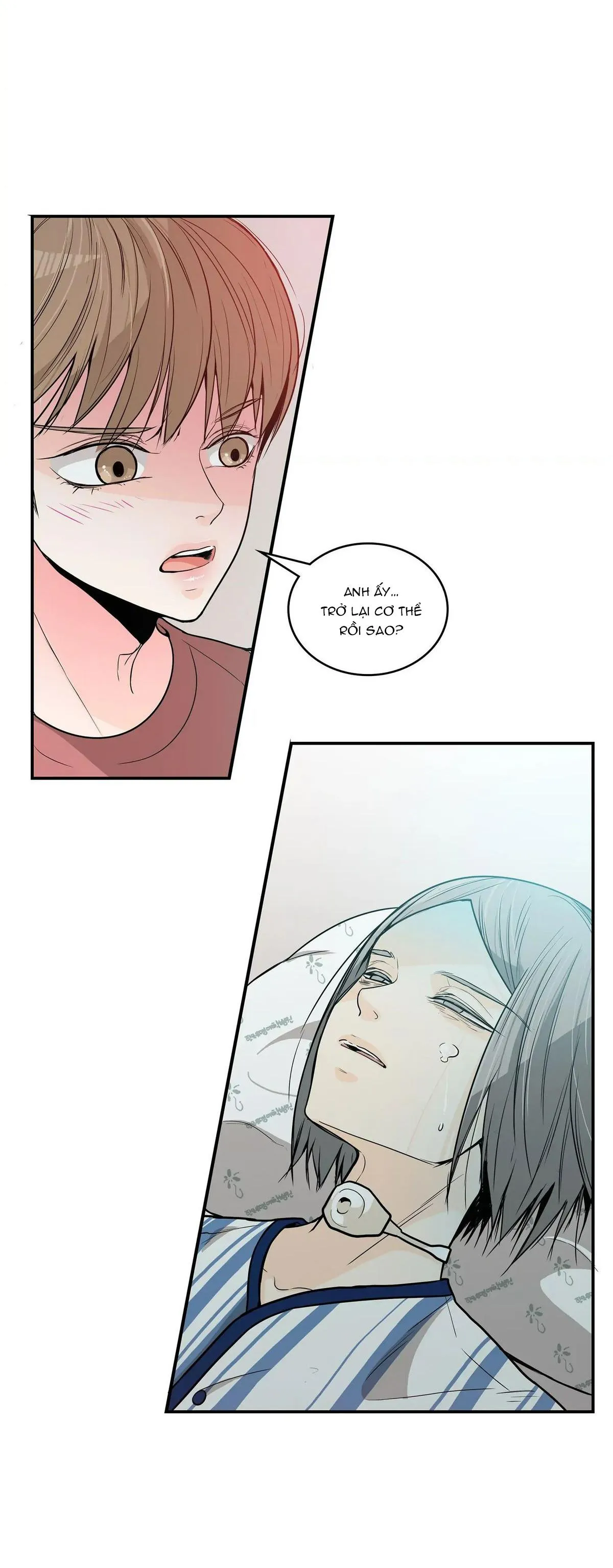 Người Tạo Ra Những Chàng Gay Hoàn Hảo Chapter 44 Trang 19