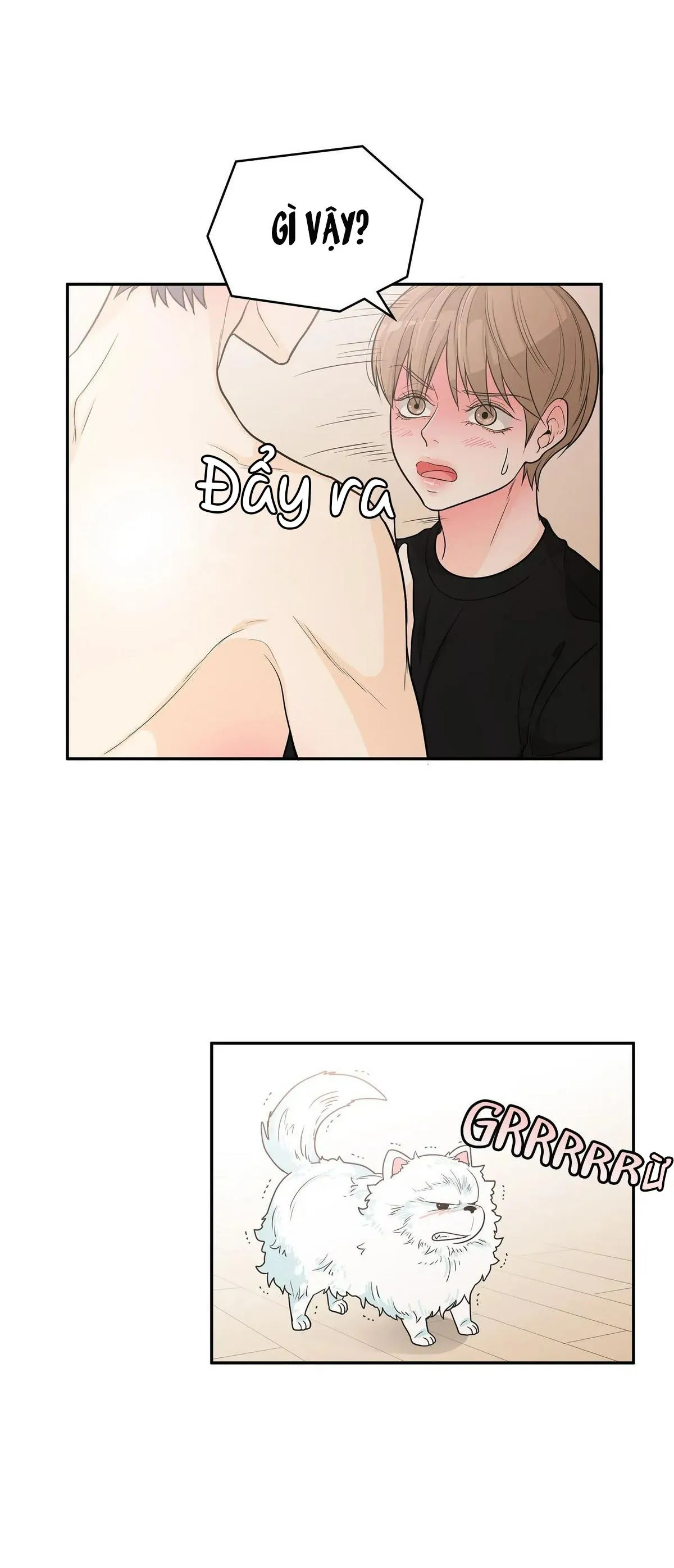 Người Tạo Ra Những Chàng Gay Hoàn Hảo Chapter 50 Trang 23