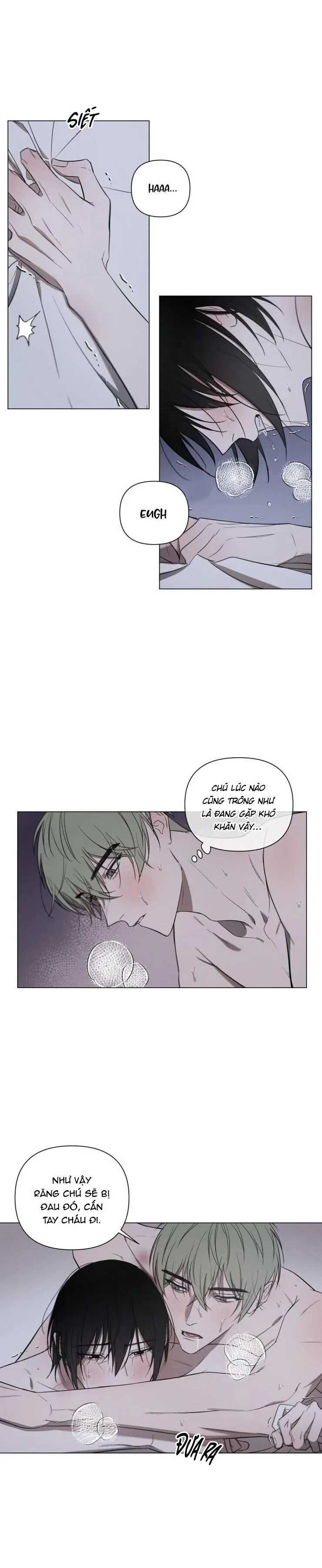 Người Tình Bé Nhỏ Chapter 12 Trang 11