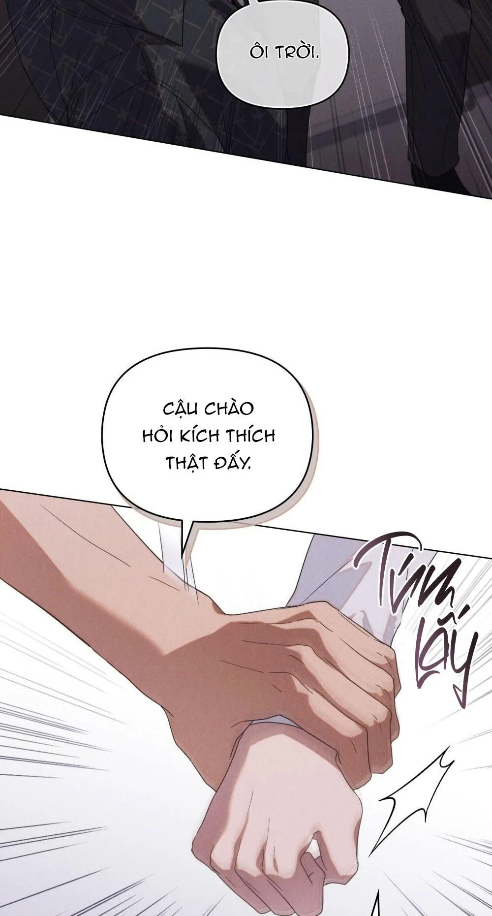 NGƯỜI TÌNH BÍ MẬT Chapter 2 Trang 8