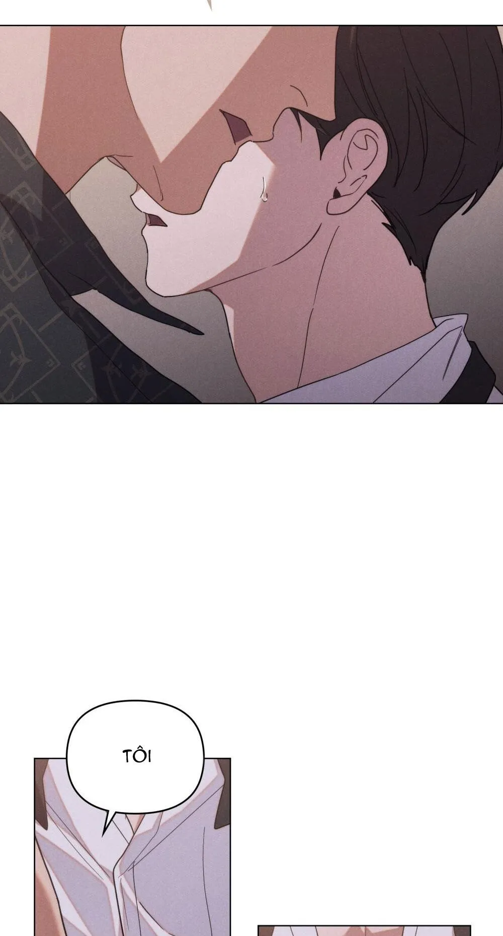 NGƯỜI TÌNH BÍ MẬT Chapter 2 Trang 11