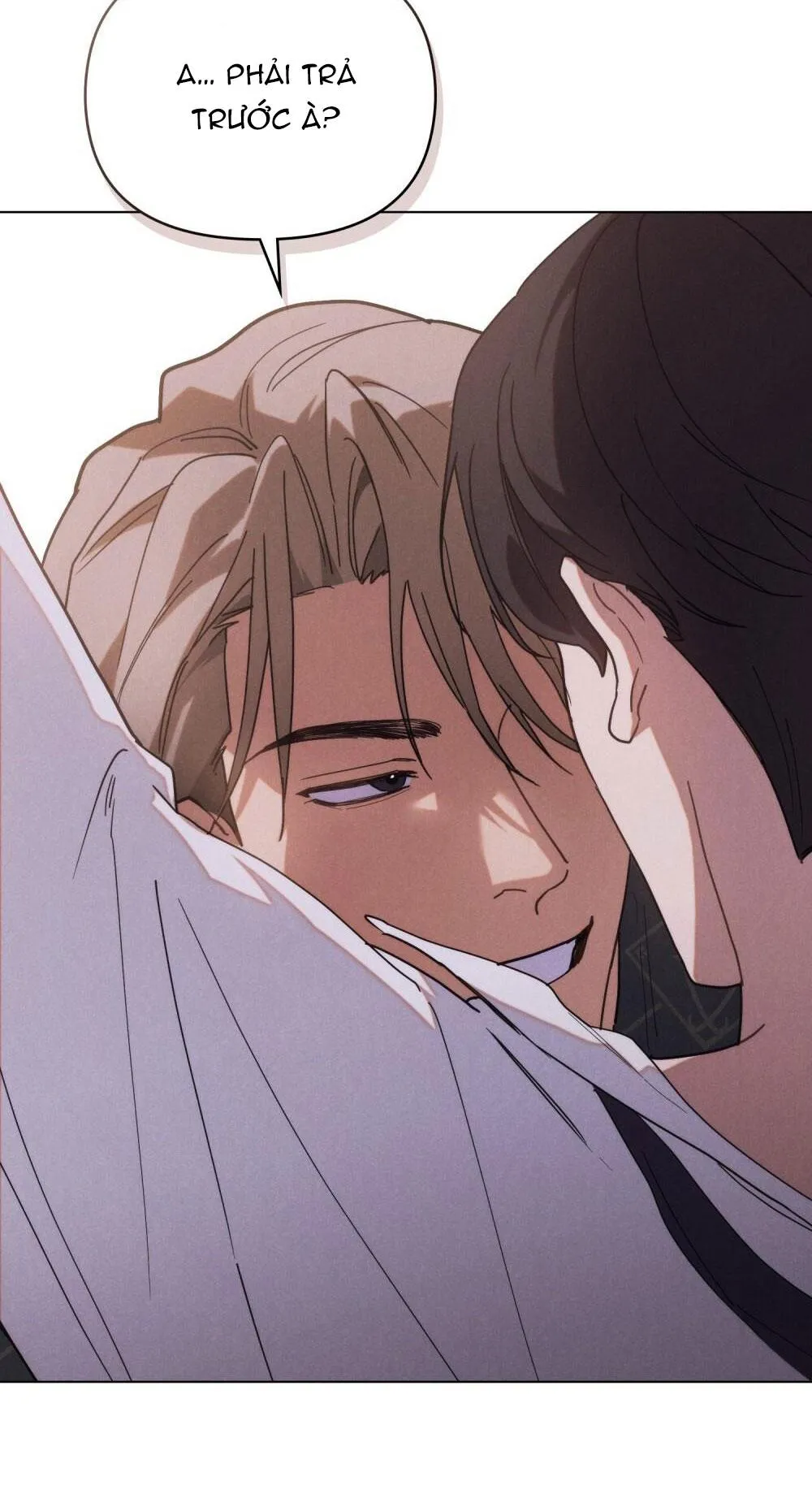 NGƯỜI TÌNH BÍ MẬT Chapter 2 Trang 13