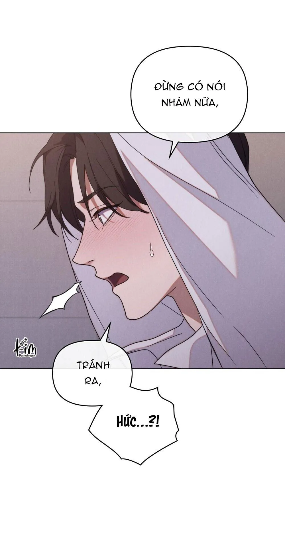 NGƯỜI TÌNH BÍ MẬT Chapter 2 Trang 14