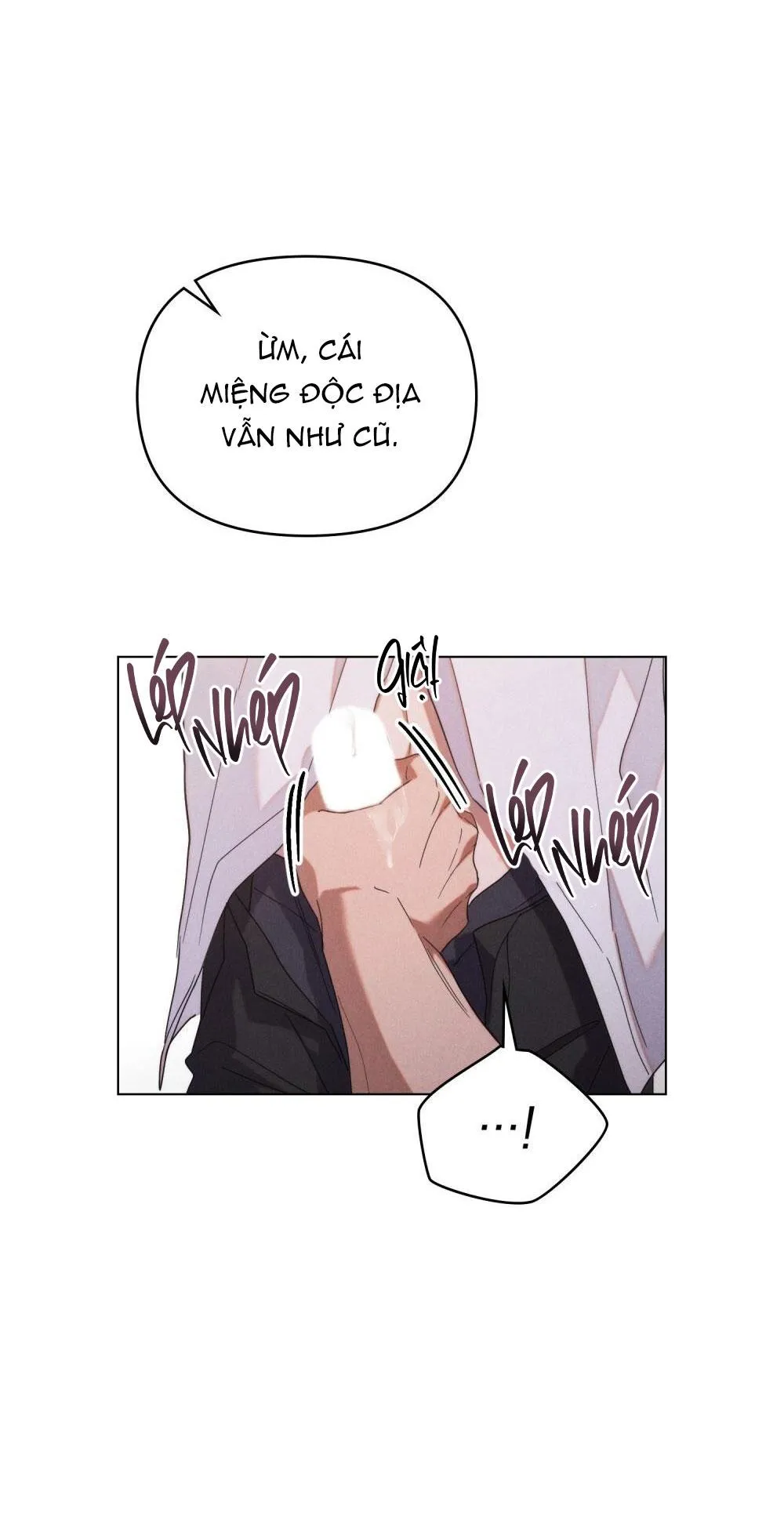 NGƯỜI TÌNH BÍ MẬT Chapter 2 Trang 17