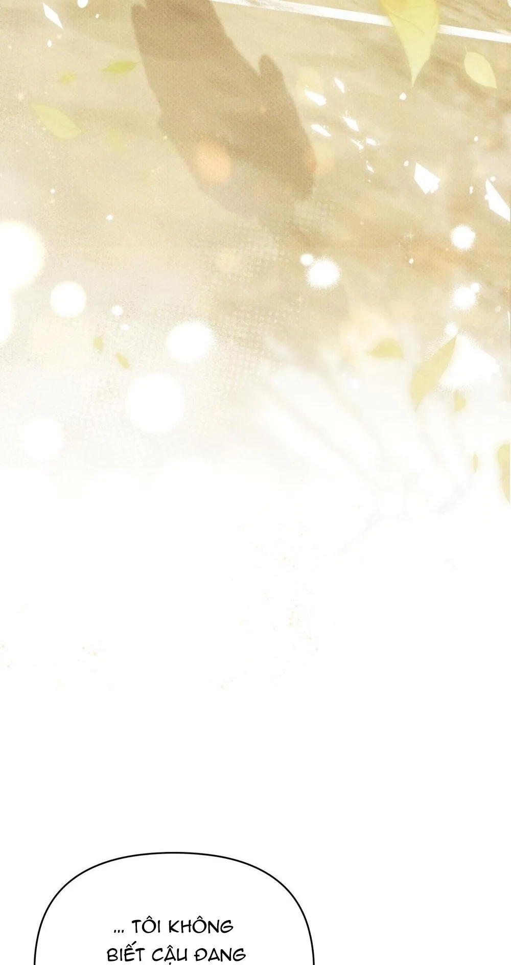 NGƯỜI TÌNH BÍ MẬT Chapter 2 Trang 51