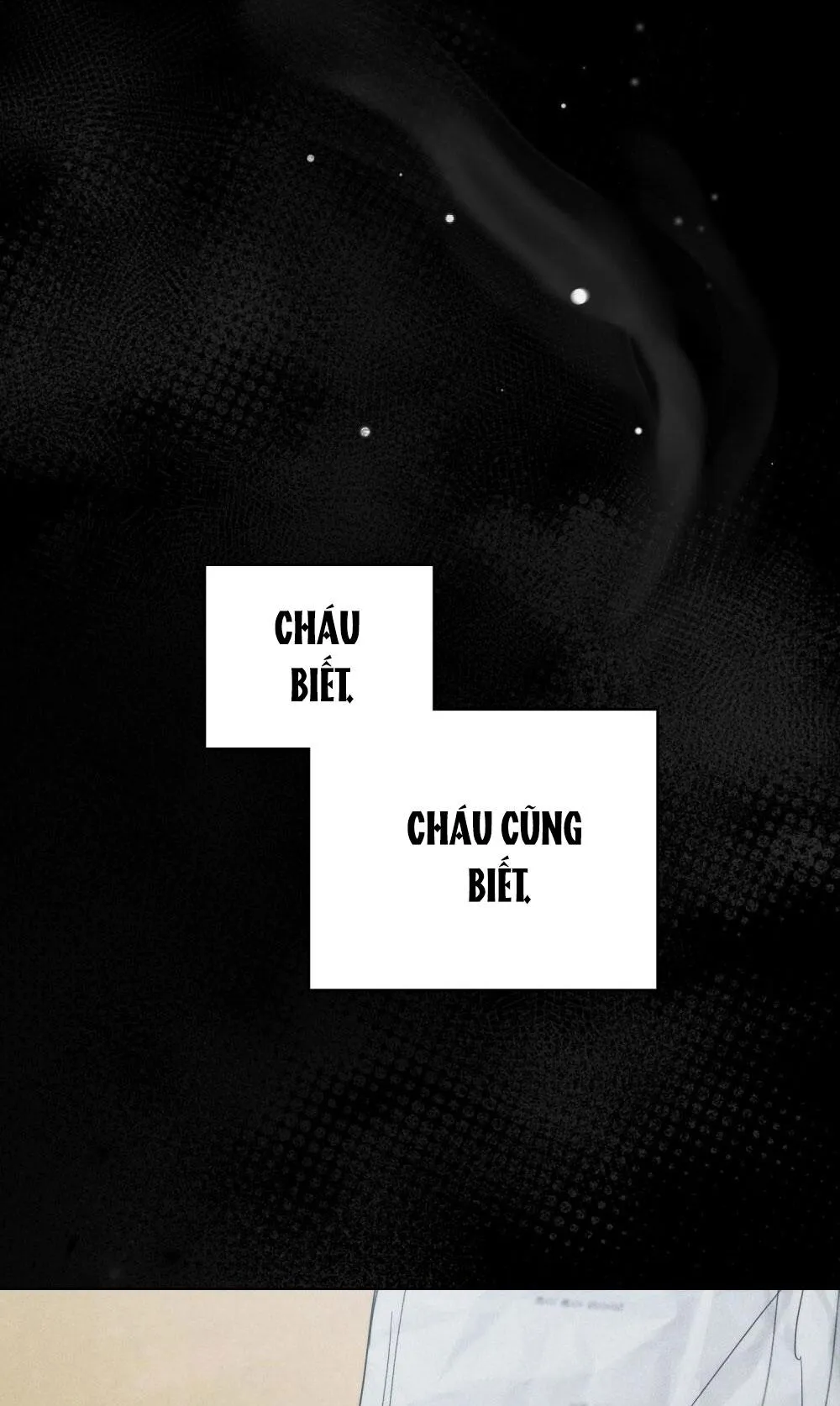 NGƯỜI TÌNH BÍ MẬT Chapter 6 Trang 42