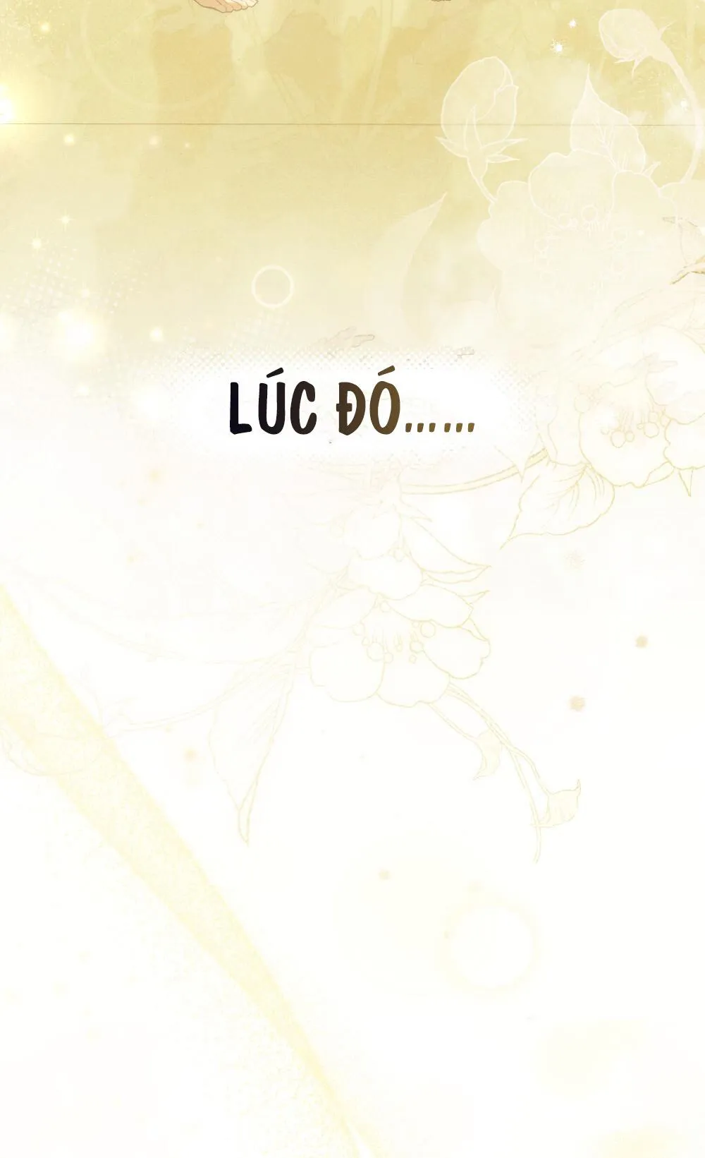 NGƯỜI TÌNH BÍ MẬT Chapter 6 Trang 53