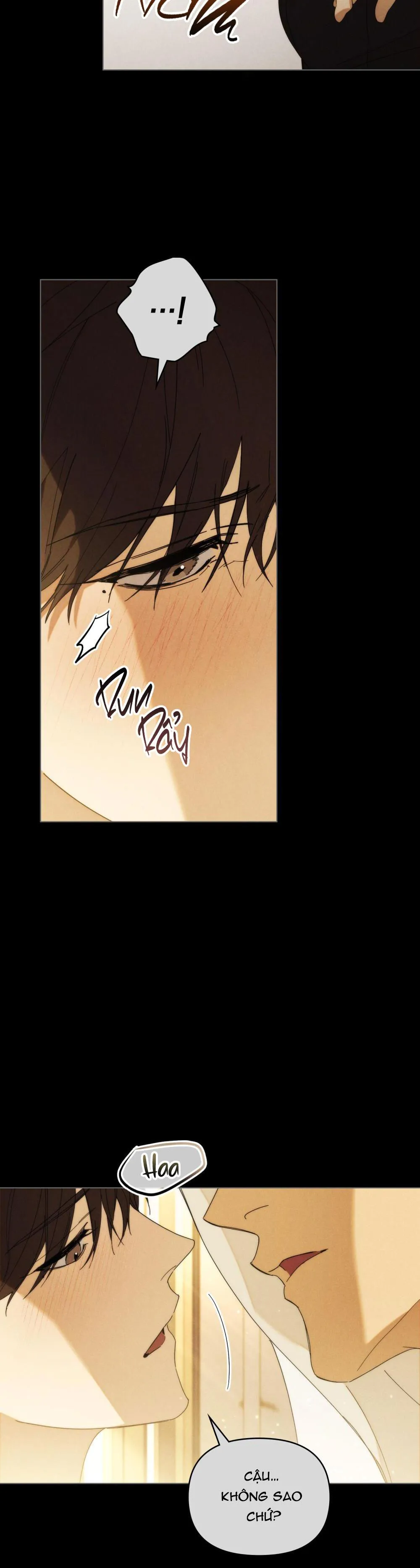 NGƯỜI TÌNH BÍ MẬT Chapter 8 Trang 5