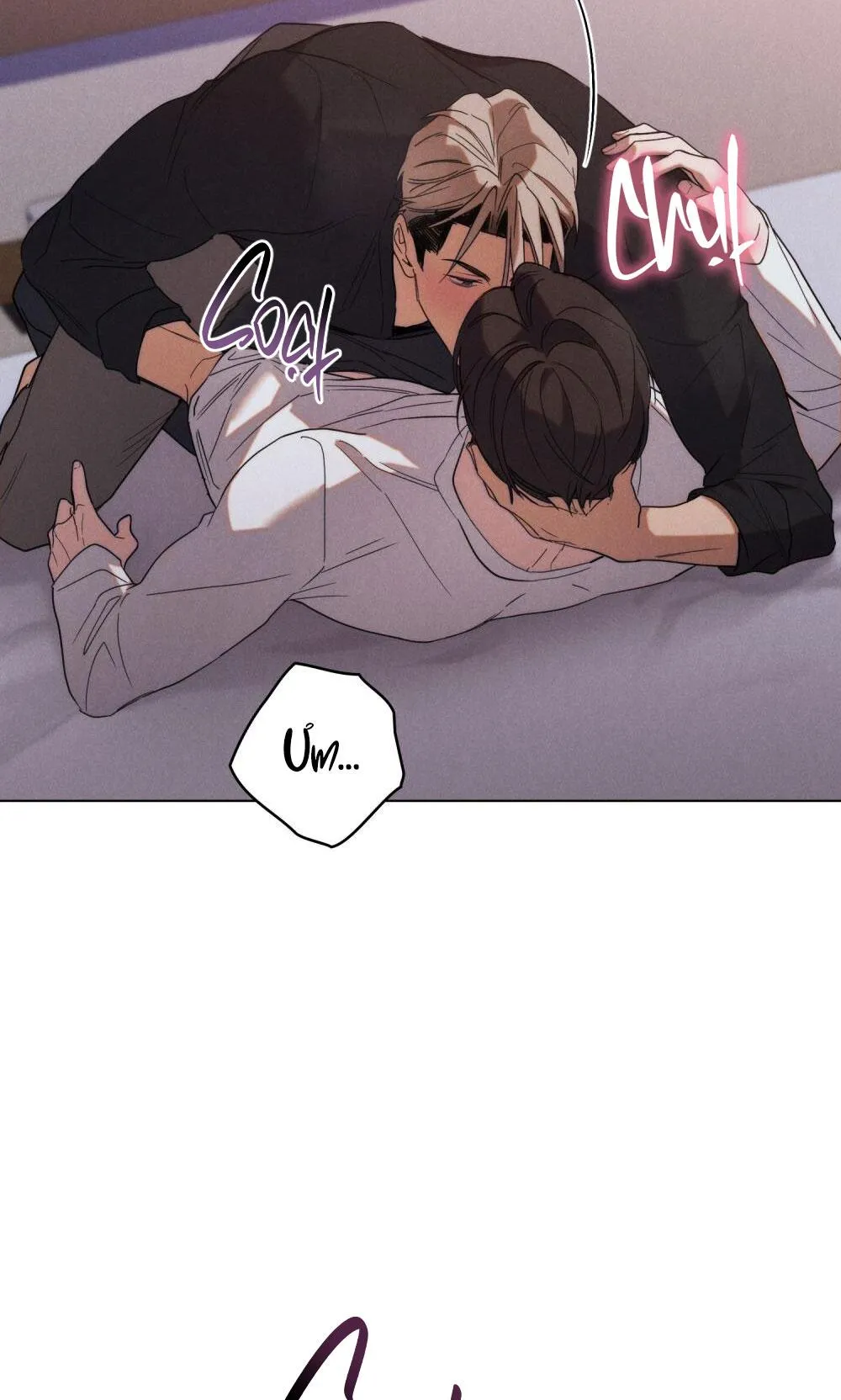 NGƯỜI TÌNH BÍ MẬT Chapter 10 Trang 10