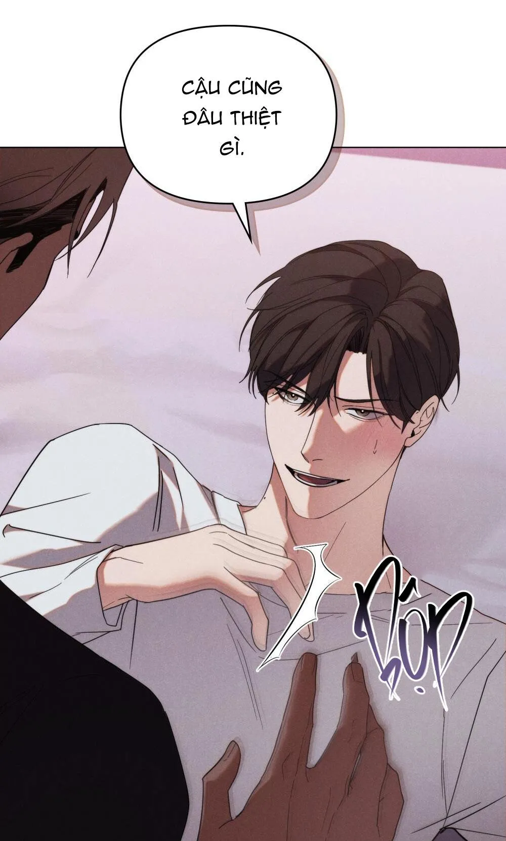 NGƯỜI TÌNH BÍ MẬT Chapter 10 Trang 17