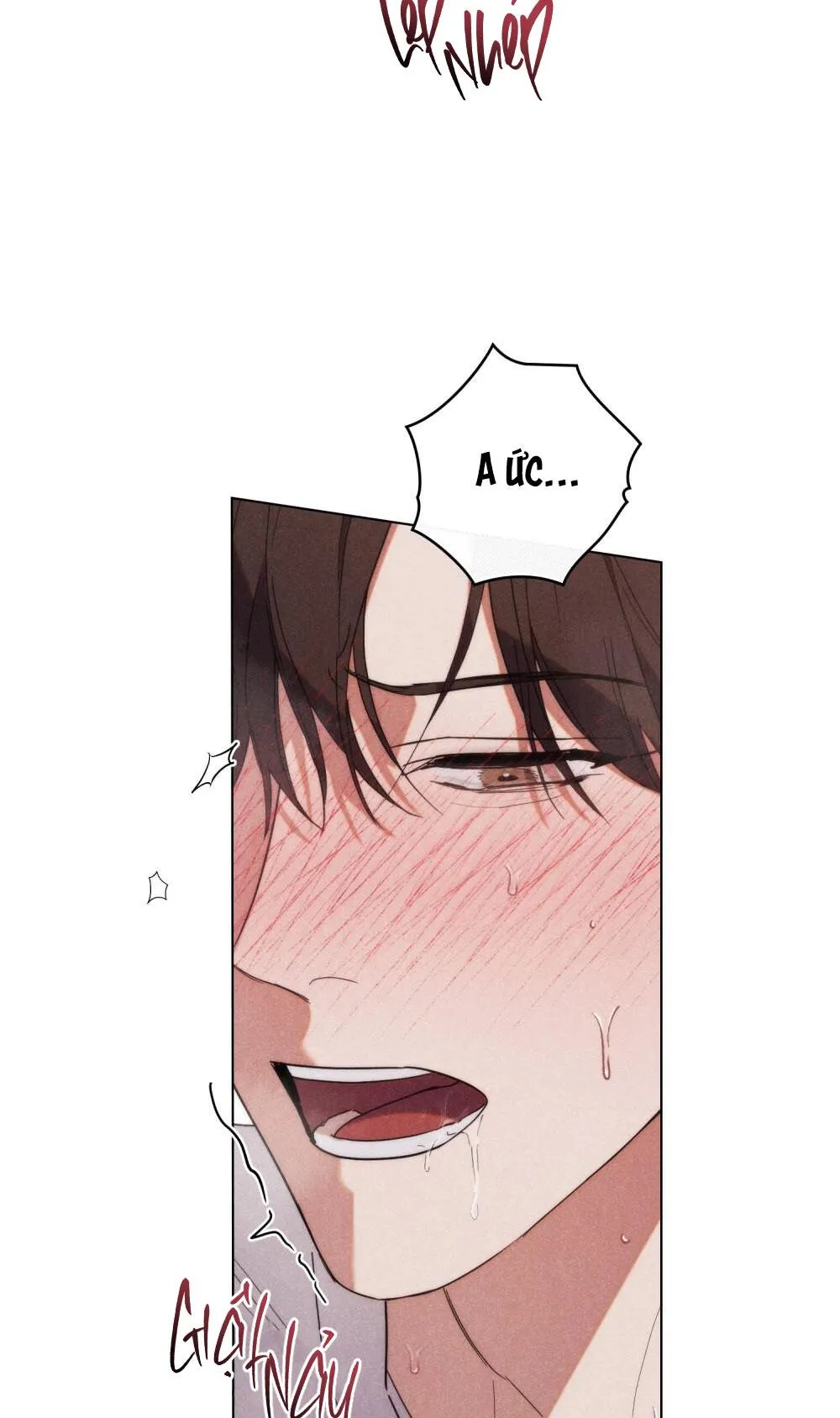 NGƯỜI TÌNH BÍ MẬT Chapter 10 Trang 54