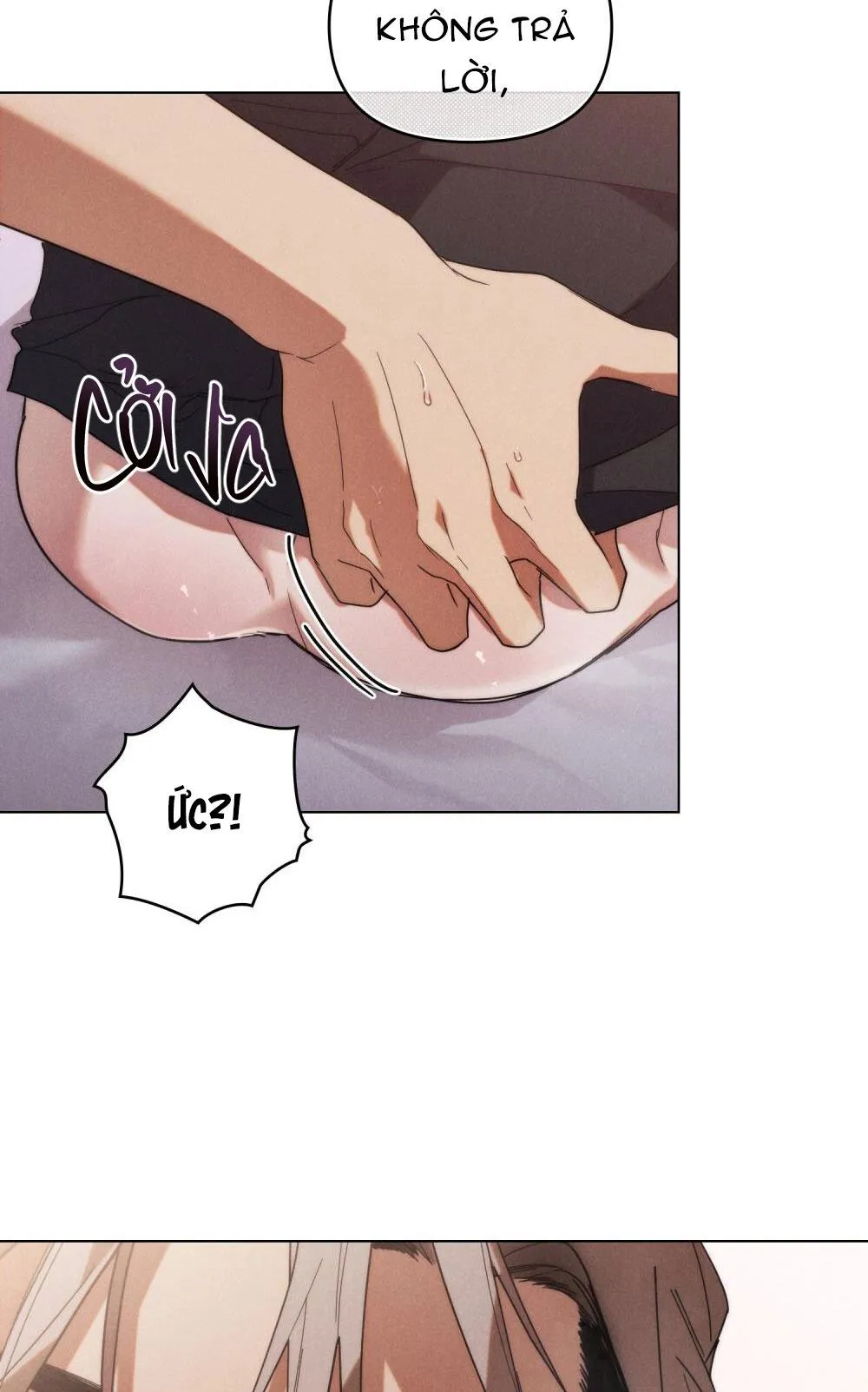 NGƯỜI TÌNH BÍ MẬT Chapter 10 Trang 62