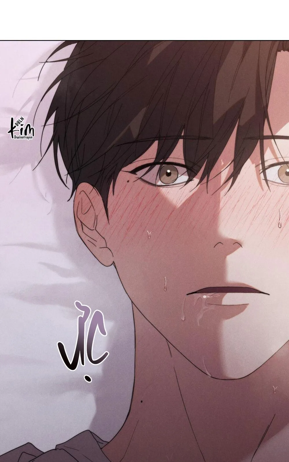 NGƯỜI TÌNH BÍ MẬT Chapter 10 Trang 64