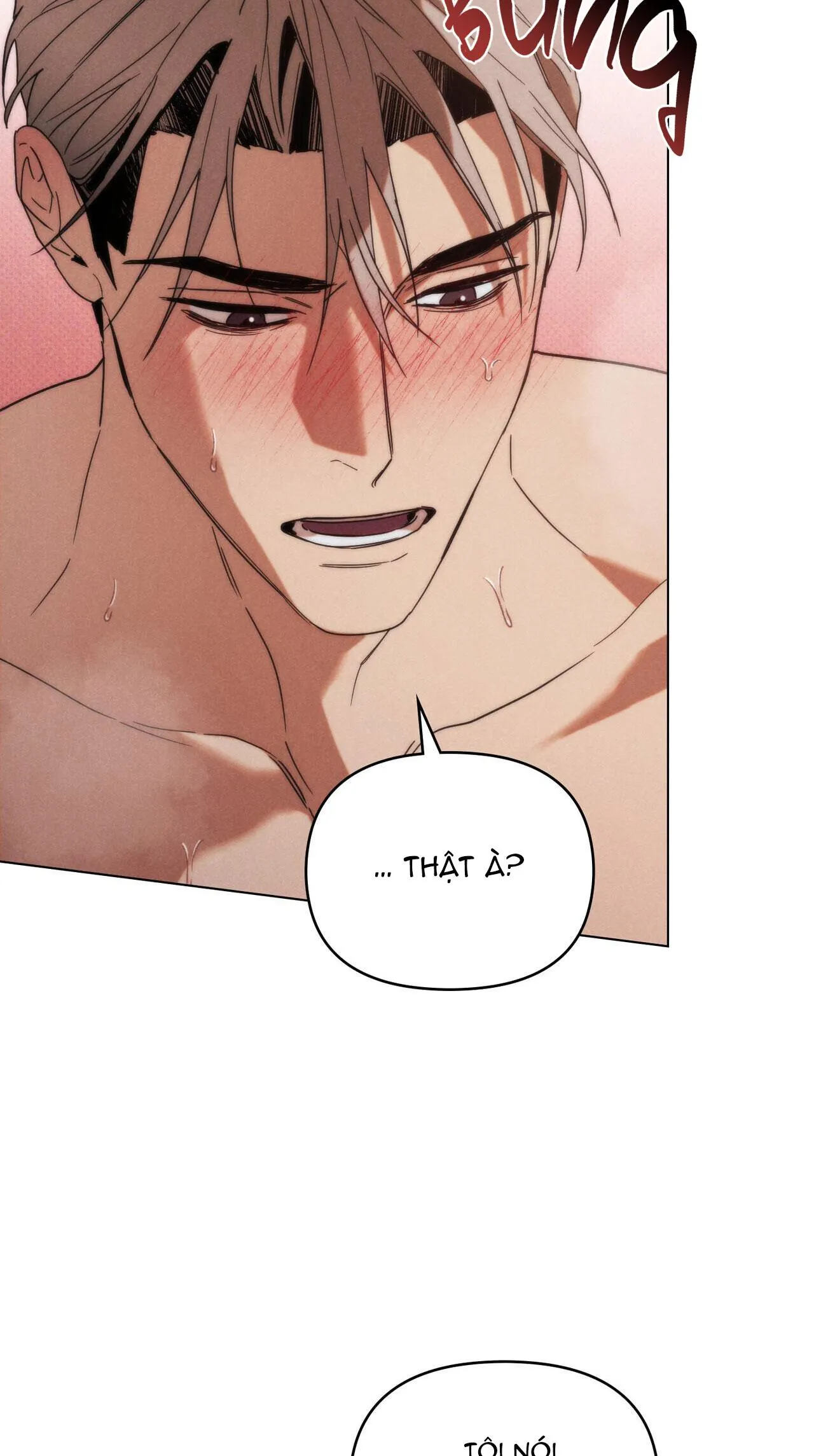 NGƯỜI TÌNH BÍ MẬT Chapter 11 Trang 16