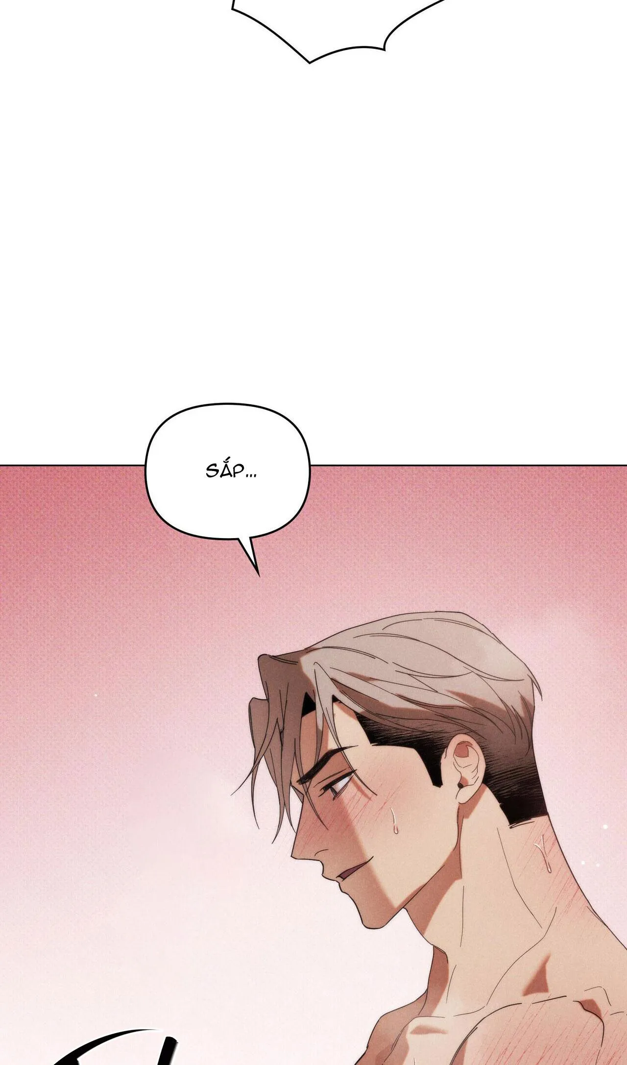 NGƯỜI TÌNH BÍ MẬT Chapter 11 Trang 32