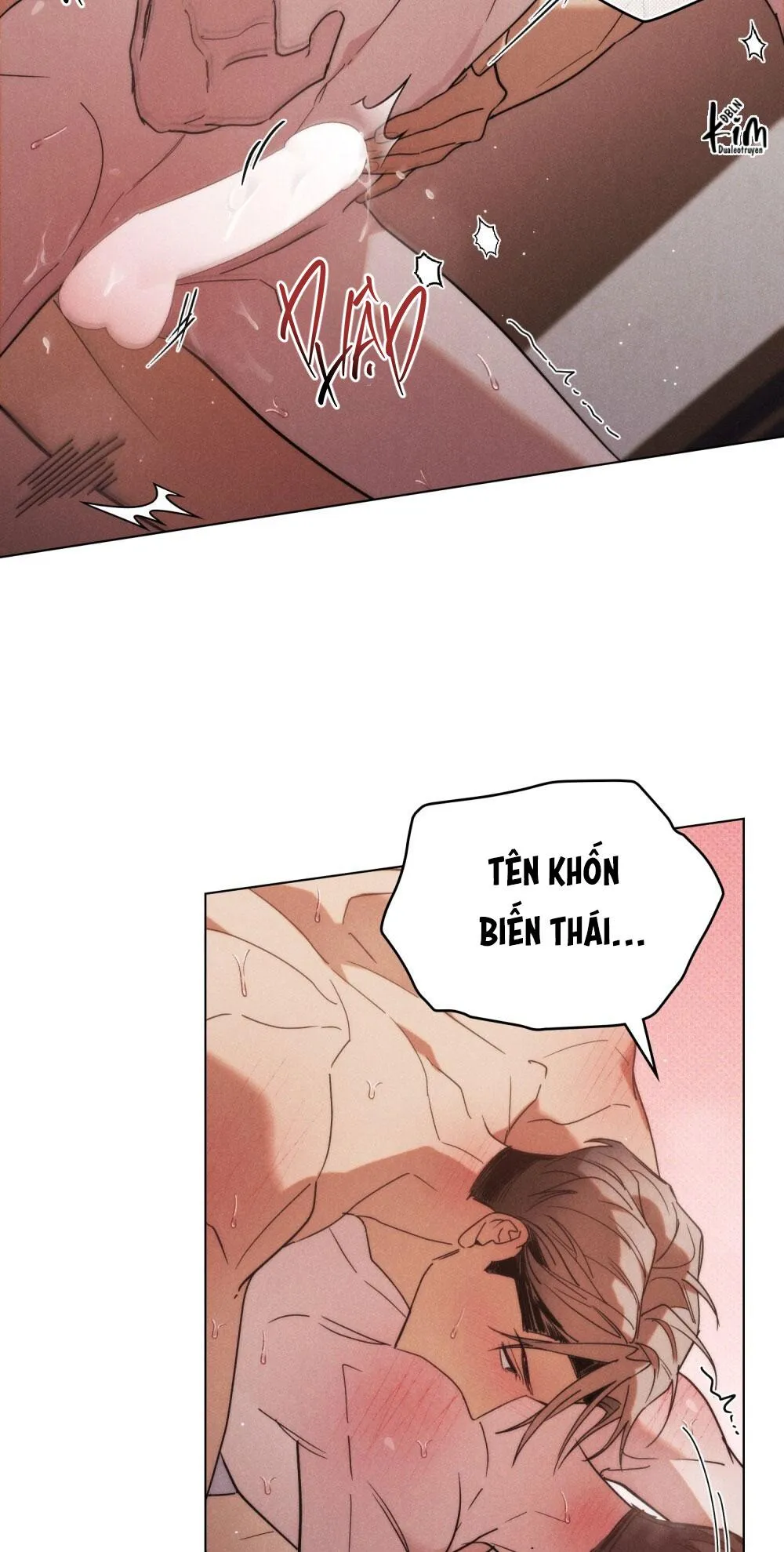 NGƯỜI TÌNH BÍ MẬT Chapter 12 Trang 9